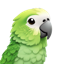 Parakeet AI